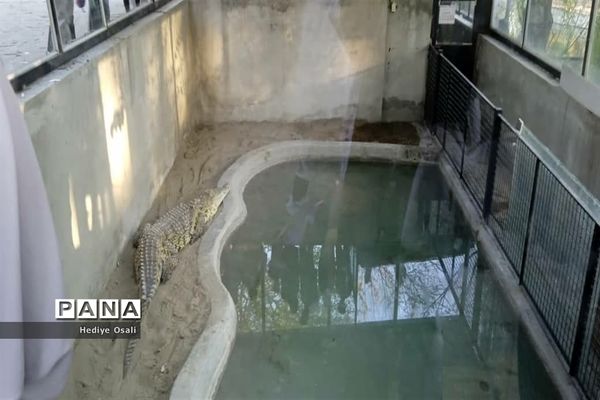 باغ وحش پارک ارم تهران