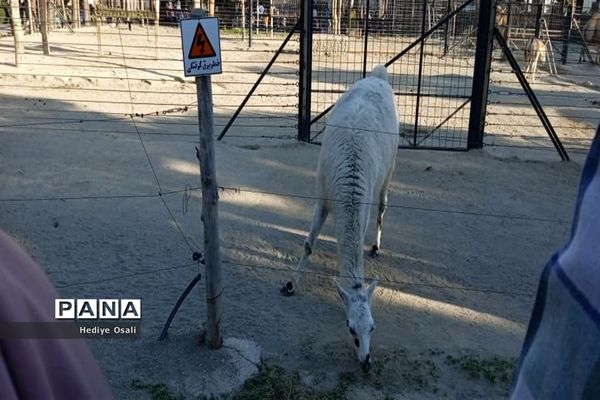 باغ وحش پارک ارم تهران