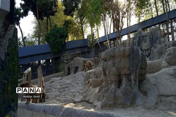 باغ وحش پارک ارم تهران