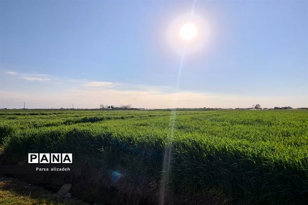 طبیعت استان مازندران در فصل بهار