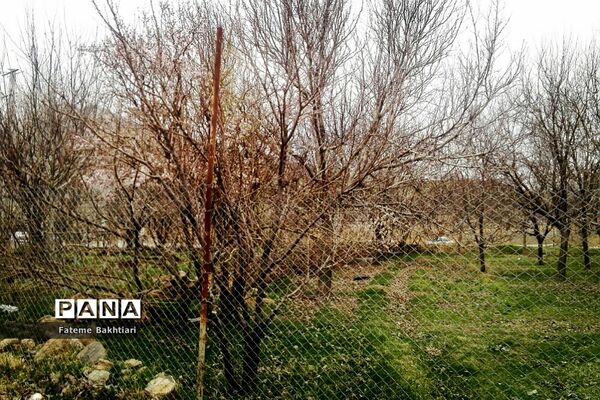 طبیعت بهاری و جاذبه‌های دیدنی روستای عمارت