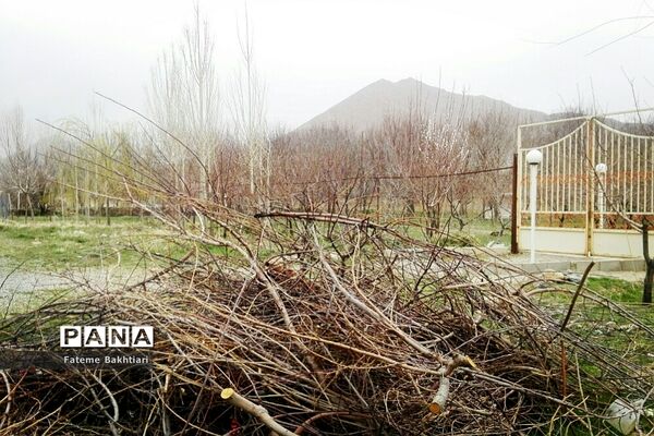 طبیعت بهاری و جاذبه‌های دیدنی روستای عمارت