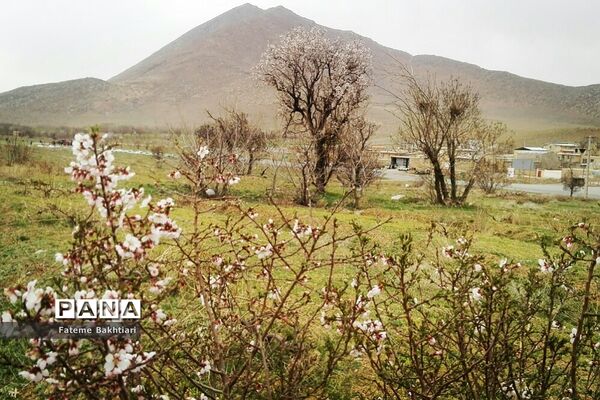 طبیعت بهاری و جاذبه‌های دیدنی روستای عمارت