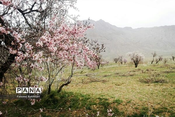 طبیعت بهاری و جاذبه‌های دیدنی روستای عمارت