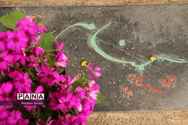 گشتی در قطعه 50 بهشت‌ زهرا(س)