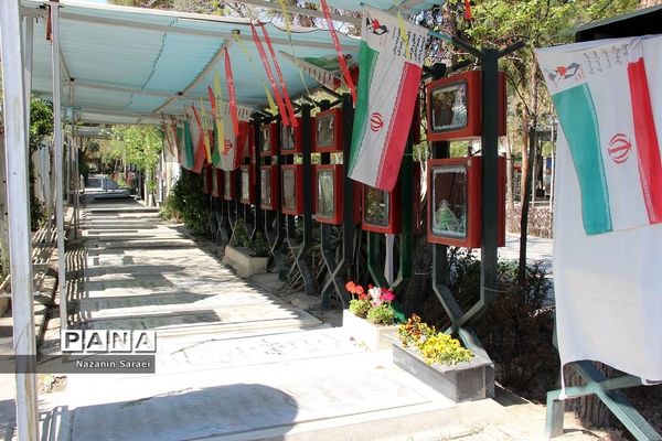 گشتی در قطعه 50 بهشت‌ زهرا(س)