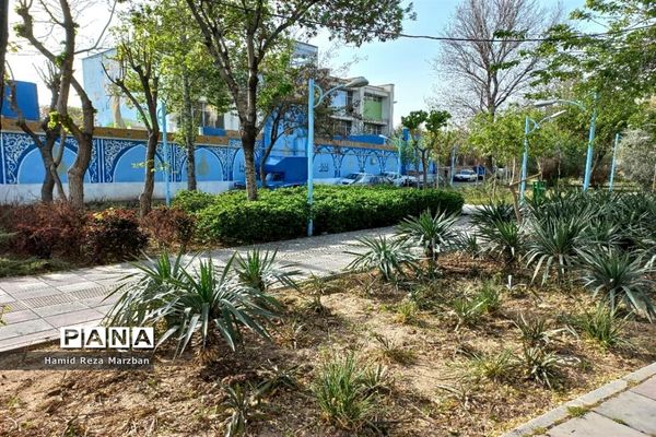 آستان مقدس حضرت علی‌ ابن حمزه (ع)