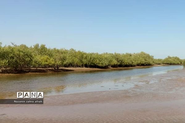 هرمز، نگین سرخ خلیج فارس