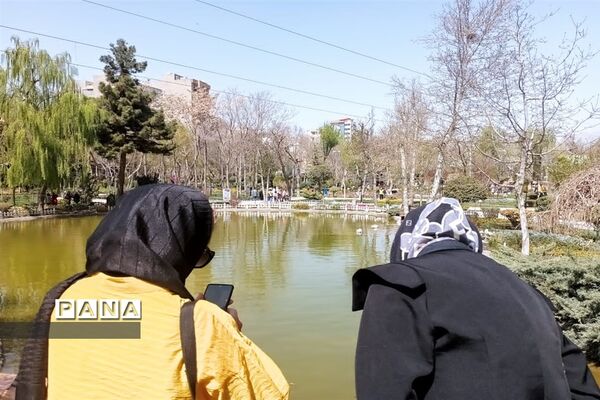 برگزاری جشنواره لاله‌ها در پارک چمران