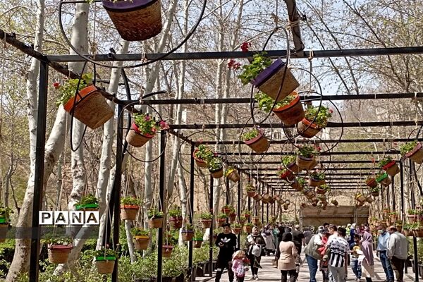 برگزاری جشنواره لاله‌ها در پارک چمران