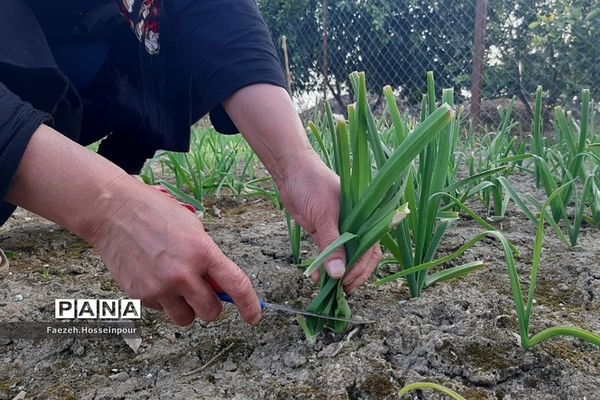 طبیعت بهاری در شمال کشور