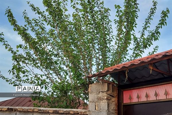 طبیعت بهاری در شمال کشور