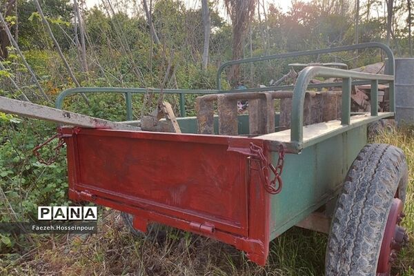 طبیعت بهاری در شمال کشور