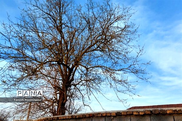 طبیعت بهاری در شمال کشور