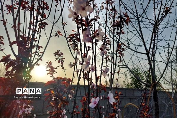 طبیعت بهاری در شمال کشور