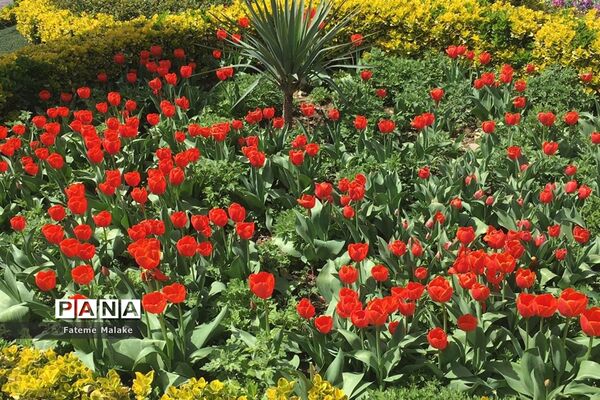 باغ گل‌های کرج