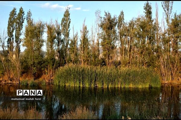 دالاهـو؛ نگین غـرب ایران
