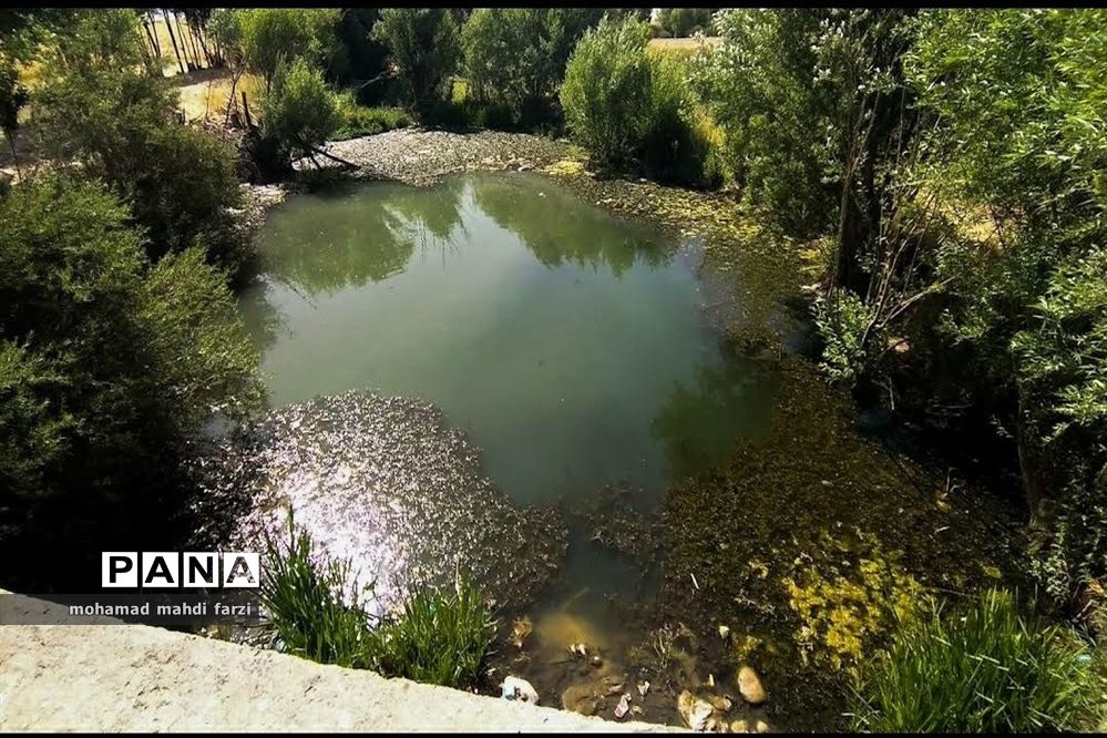 دالاهـو؛ نگین غـرب ایران