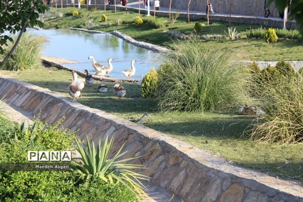 دیدنی‌های باغ پرندگان قم
