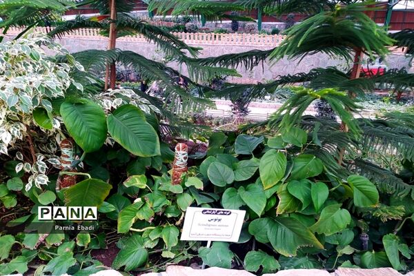 دیدنی‌های باغ پرندگان قم