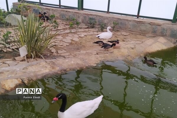 دیدنی‌های باغ پرندگان قم