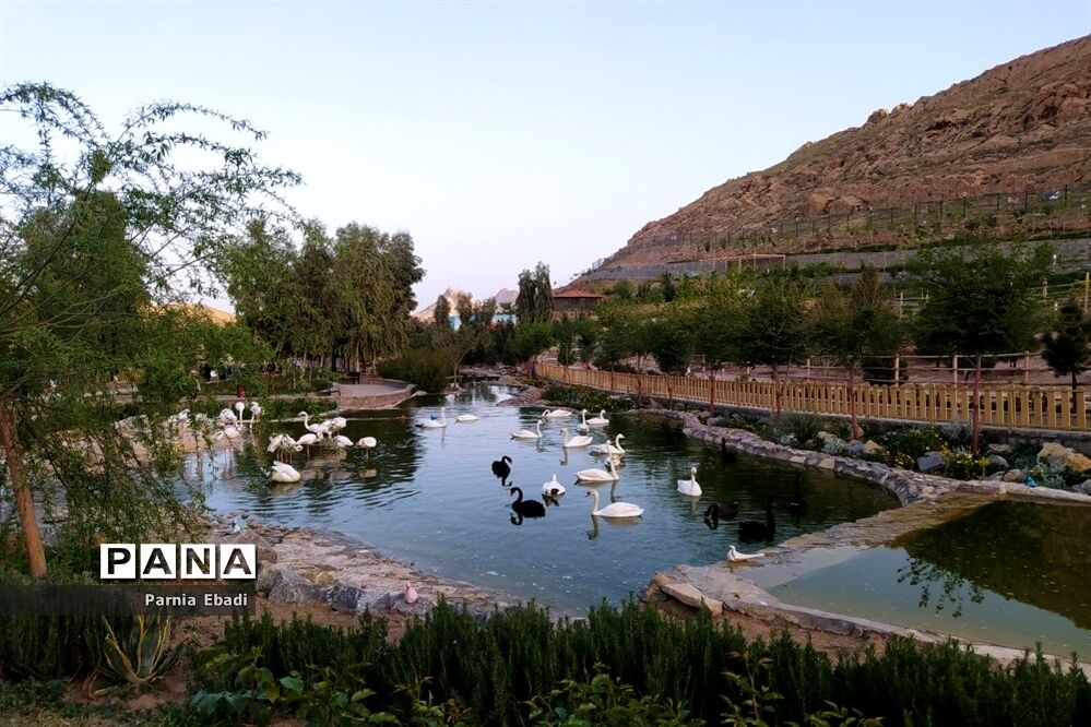 دیدنی‌های باغ پرندگان قم