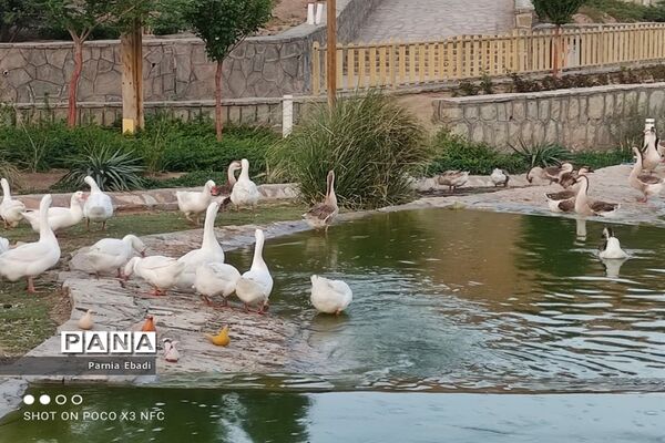 دیدنی‌های باغ پرندگان قم
