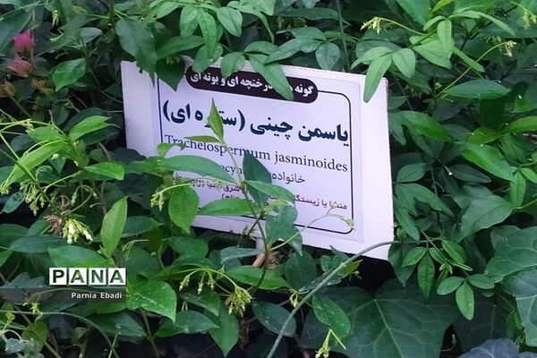 دیدنی‌های باغ پرندگان قم
