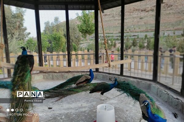 دیدنی‌های باغ پرندگان قم