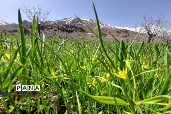 شهر «دستنا» در شروع بهار