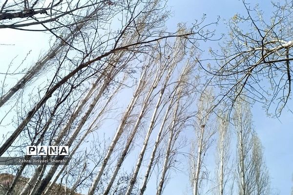 طبیعت بهاری در حوالی سد لتیان