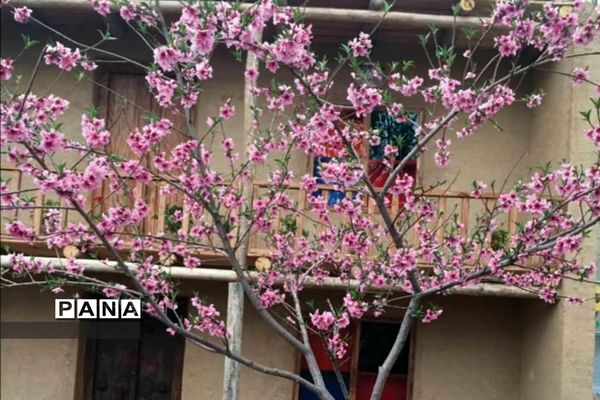 جشنواره گل‌های لاله در باغ گل ‌بوستان شهید چمران کرج