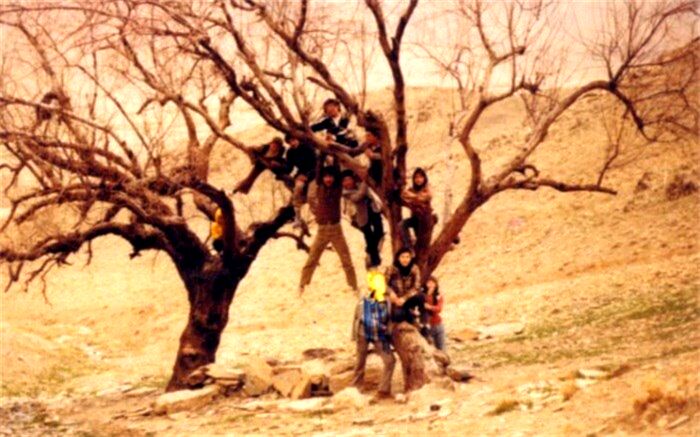 راه‌یابی جدیدترین مستند پگاه آهنگرانی به بخش مسابقه چهار جشنواره خارجی