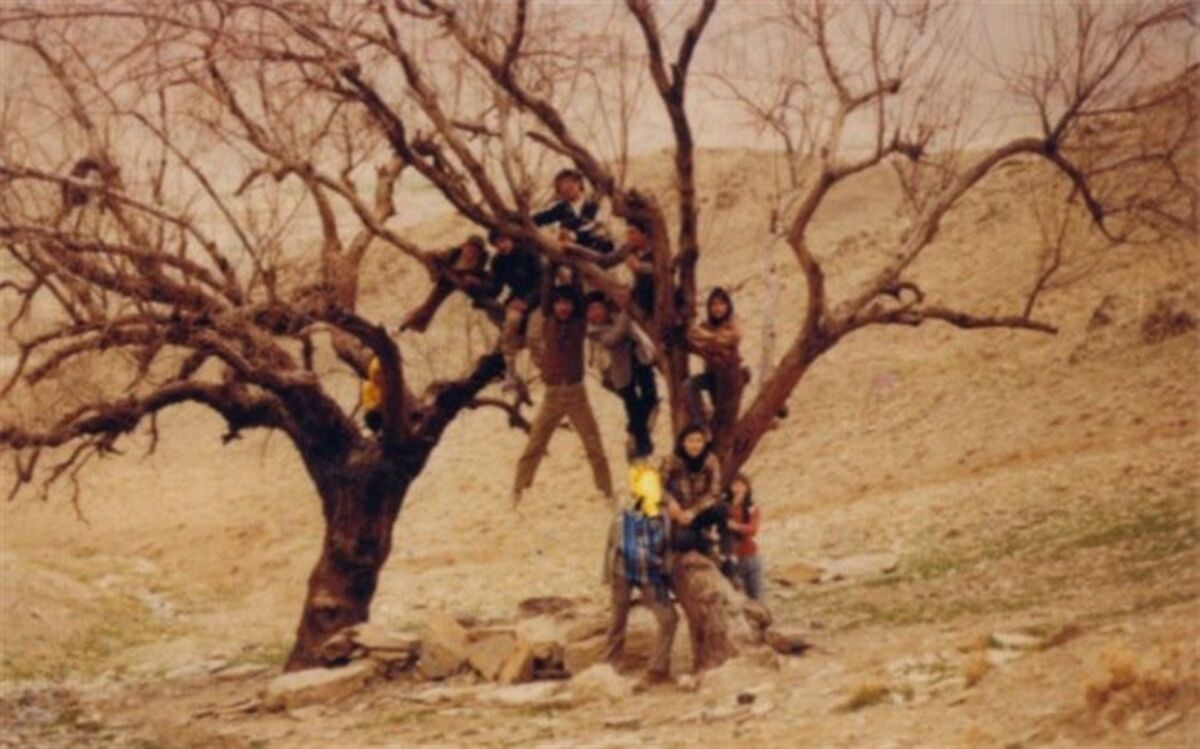 راه‌یابی جدیدترین مستند پگاه آهنگرانی به بخش مسابقه چهار جشنواره خارجی