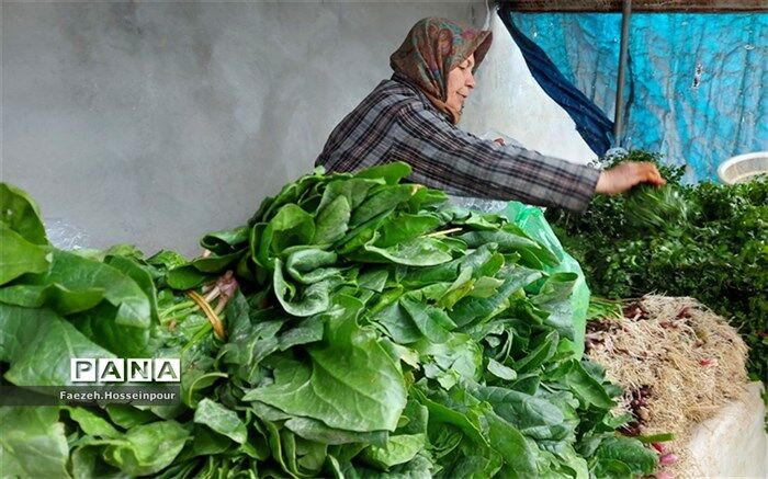 «حضوری» یا «آنلاین»؛ مردم کدام خرید را می‌پسندند؟