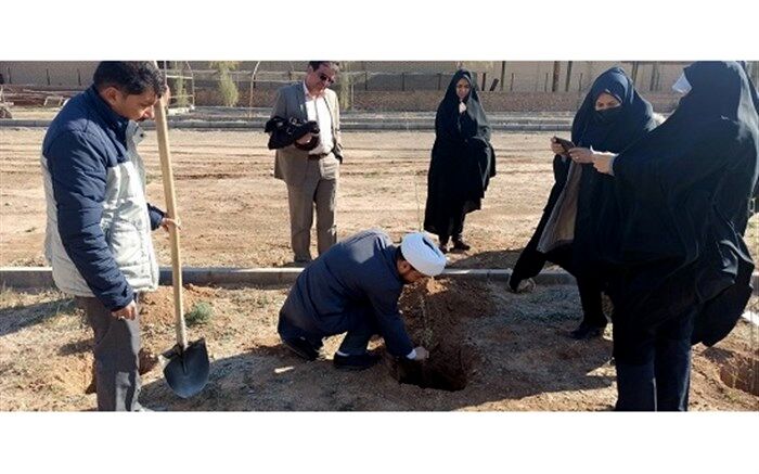 کاشت نهال به یاد بانوان شهید آموزش و پرورش قم/ عکس