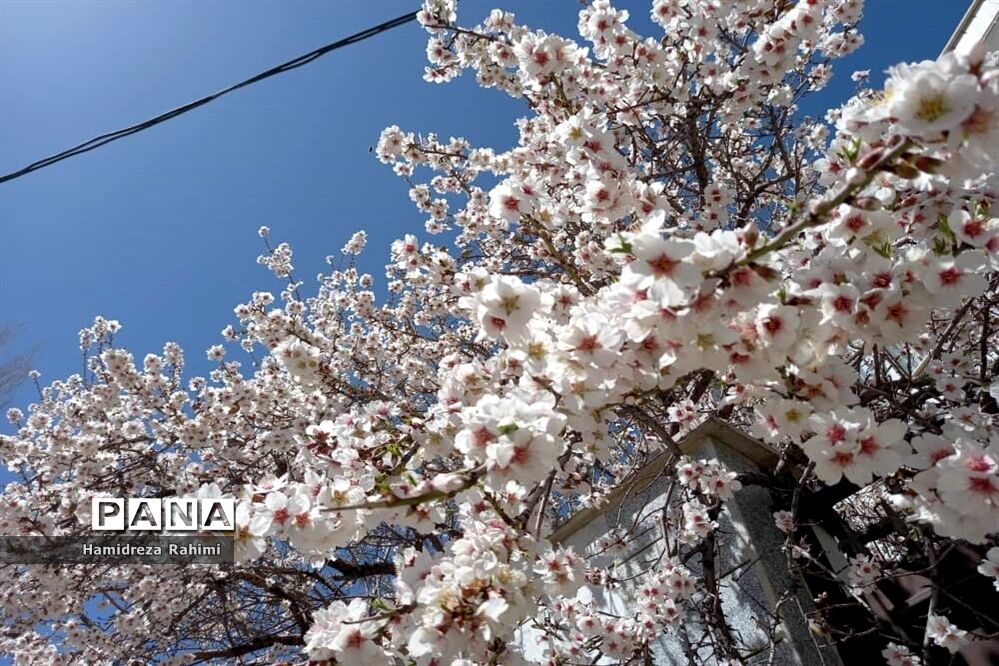 طبیعت بهاری خوانسار