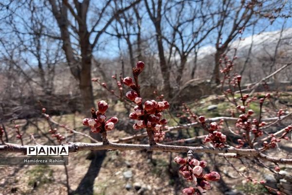 طبیعت بهاری خوانسار