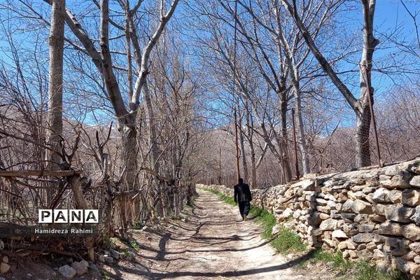 طبیعت بهاری خوانسار