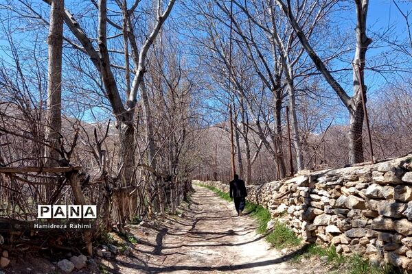 طبیعت بهاری خوانسار