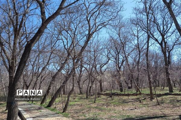 طبیعت بهاری خوانسار