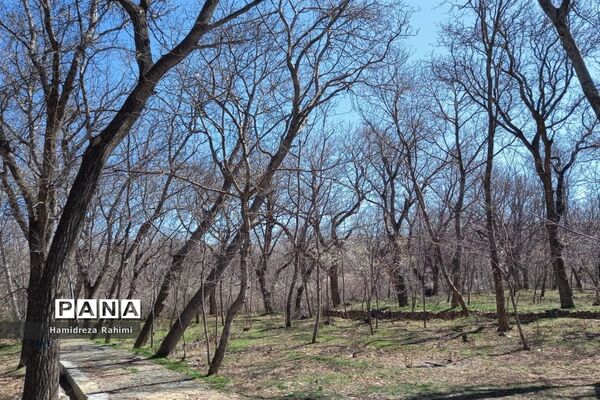 طبیعت بهاری خوانسار