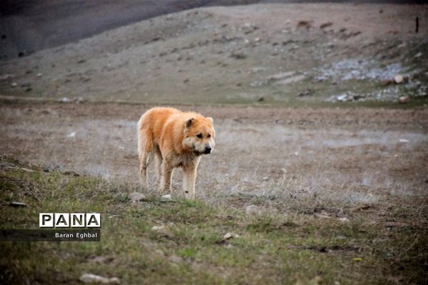 جلوه‌های بصری روستای چهره‌برق