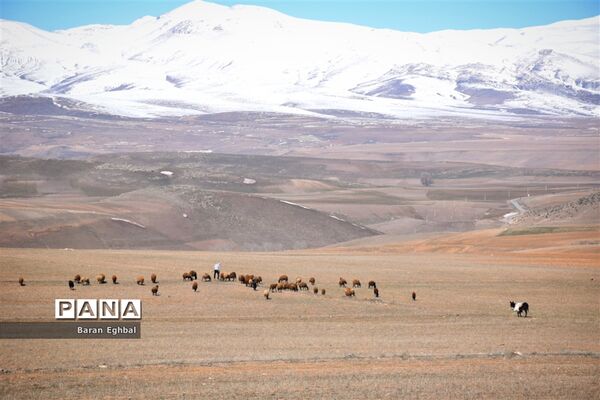 جلوه‌های بصری روستای چهره‌برق