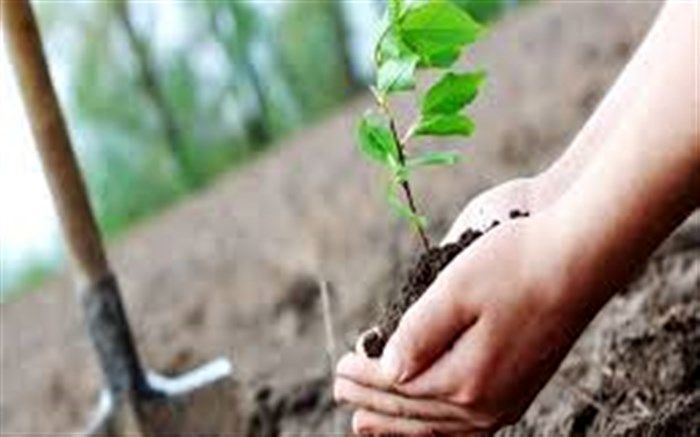 ۴۰ هزار میلیارد تومان، خسارت سرمازدگی به باغداران