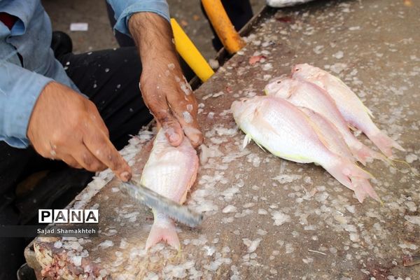 زندگی در زیست بوم خاکی خوزستان