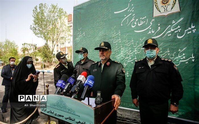 دستگیری 712 سارق و مالخر در پایتخت