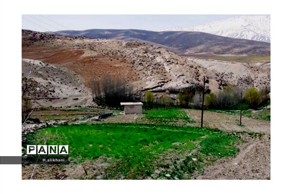 هنرنمایی بهار در روستای دره‌بید