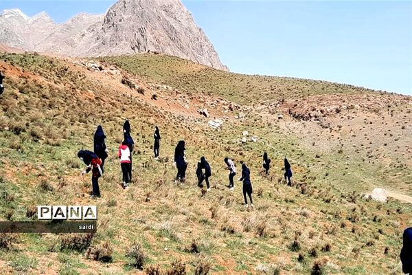جمع‌آوری زباله‌های به جا مانده در طبیعت