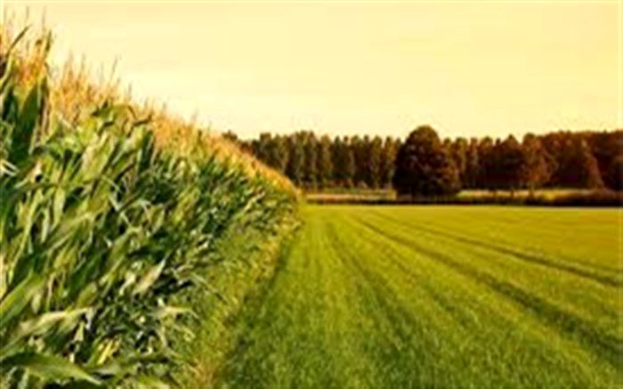 320 پروژه با فرصت سرمایه گذاری پیشران با اشتغالزایی 3259 نفر